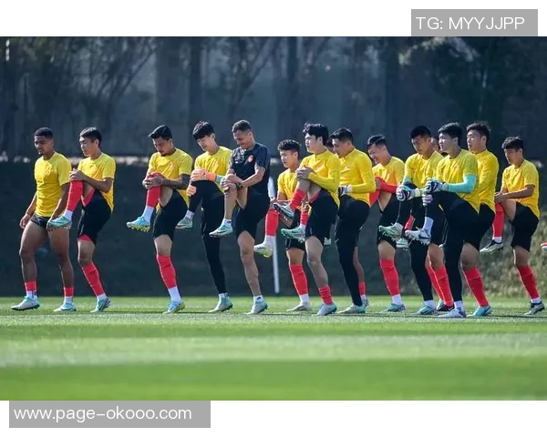 乌迪人主场迎战都灵力争胜利双方球员状态分析与比赛前瞻