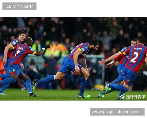 加的夫与水晶宫比赛结果分析及精彩瞬间回顾